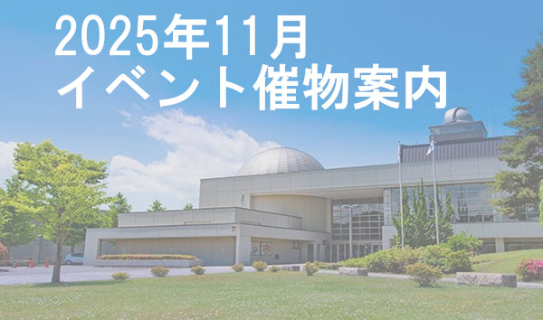 2025年11月催し物案内